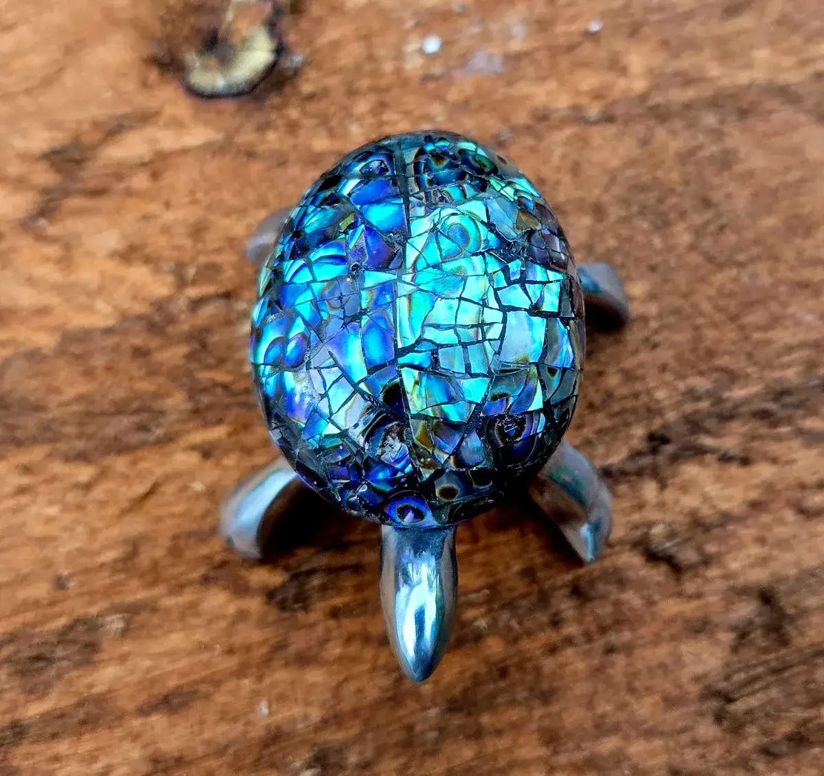 Abalone Turtle