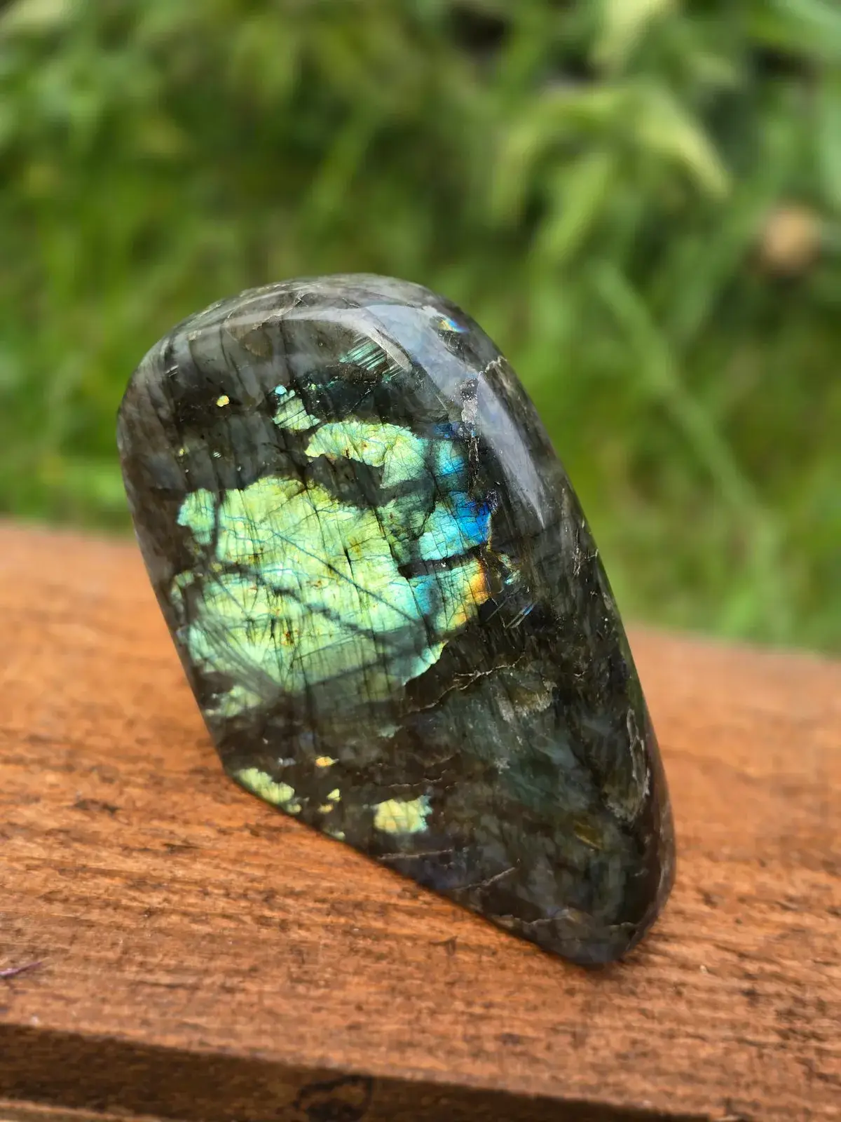 Labradorite Freeforms