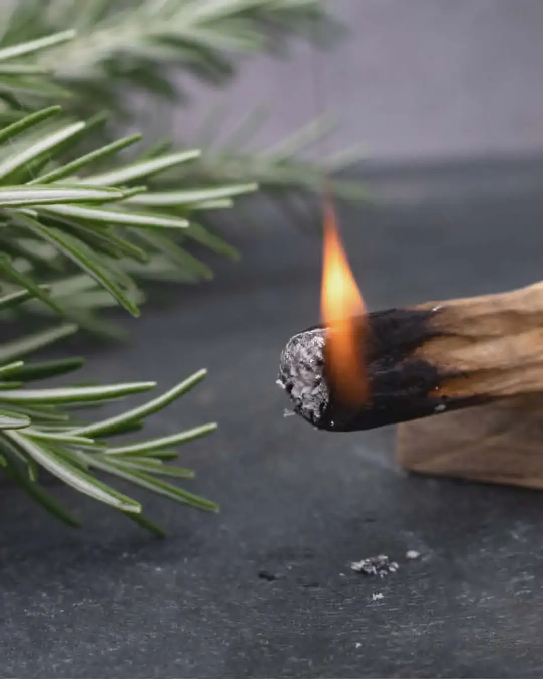 Palo Santo