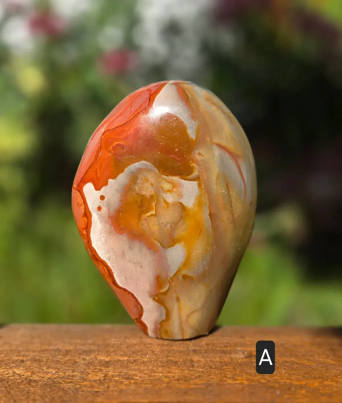 Polychrome Jasper