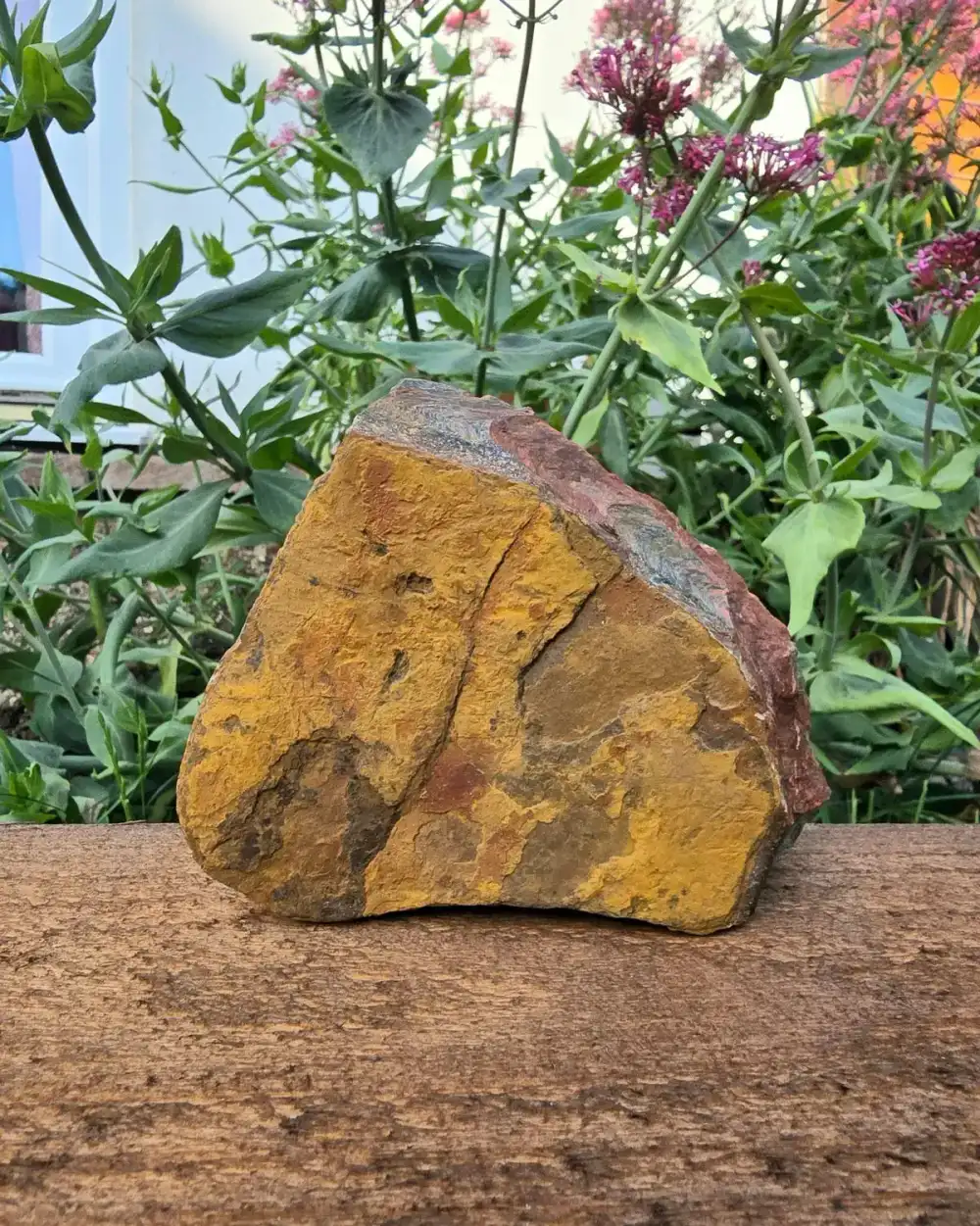 Raw Tigers eye