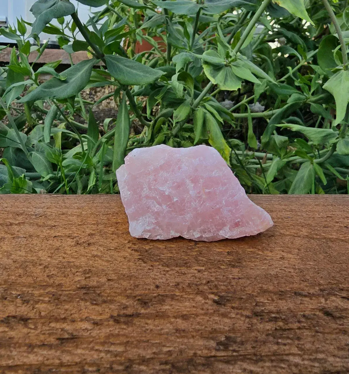 Rough rose quartz chunk