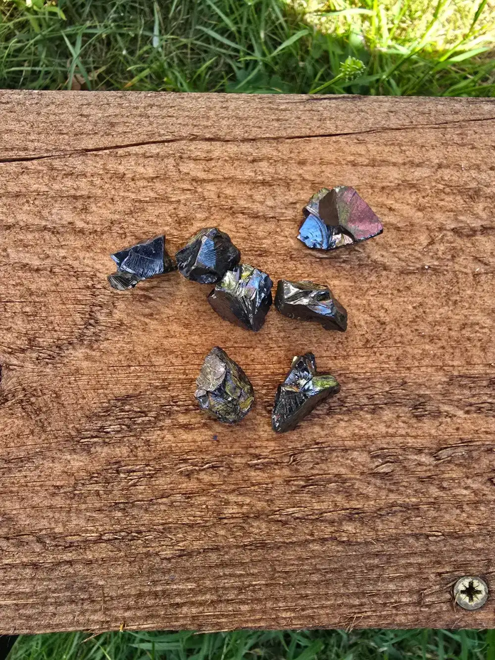 Shungite Elite